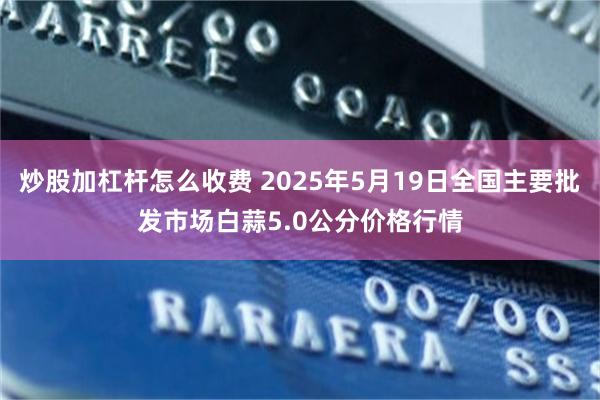 炒股加杠杆怎么收费 2025年5月19日全国主要批发市场白蒜5.0公分价格行情