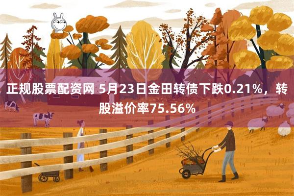 正规股票配资网 5月23日金田转债下跌0.21%，转股溢价率75.56%