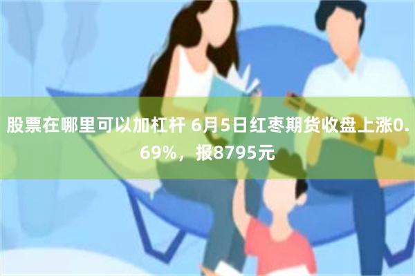 股票在哪里可以加杠杆 6月5日红枣期货收盘上涨0.69%，报8795元