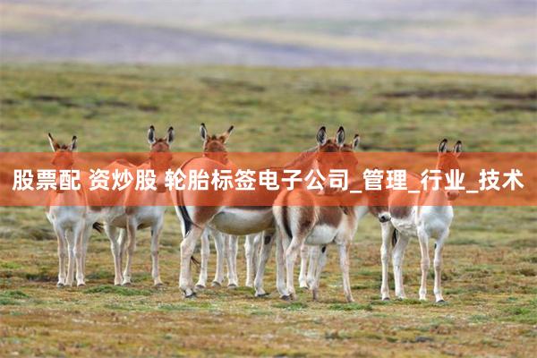 股票配 资炒股 轮胎标签电子公司_管理_行业_技术