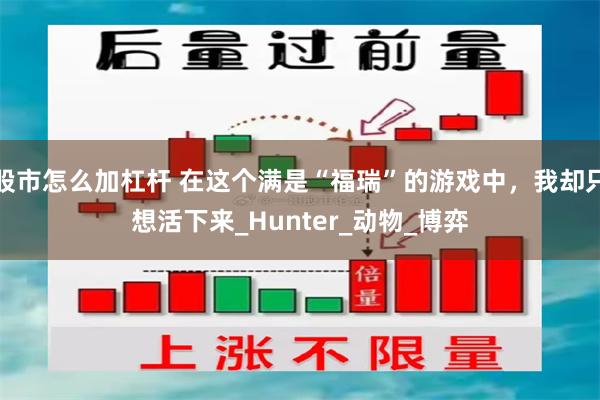 股市怎么加杠杆 在这个满是“福瑞”的游戏中，我却只想活下来_Hunter_动物_博弈