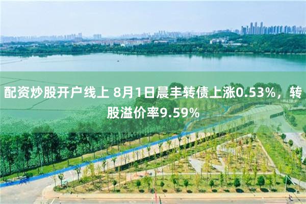 配资炒股开户线上 8月1日晨丰转债上涨0.53%，转股溢价率9.59%