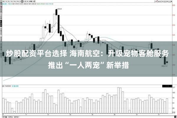 炒股配资平台选择 海南航空：升级宠物客舱服务 推出“一人两宠”新举措