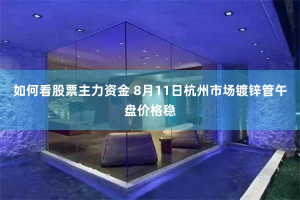 如何看股票主力资金 8月11日杭州市场镀锌管午盘价格稳