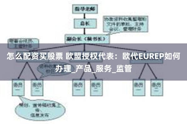 怎么配资买股票 欧盟授权代表：欧代EUREP如何办理_产品_服务_监管