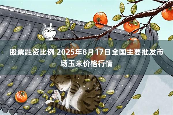 股票融资比例 2025年8月17日全国主要批发市场玉米价格行情