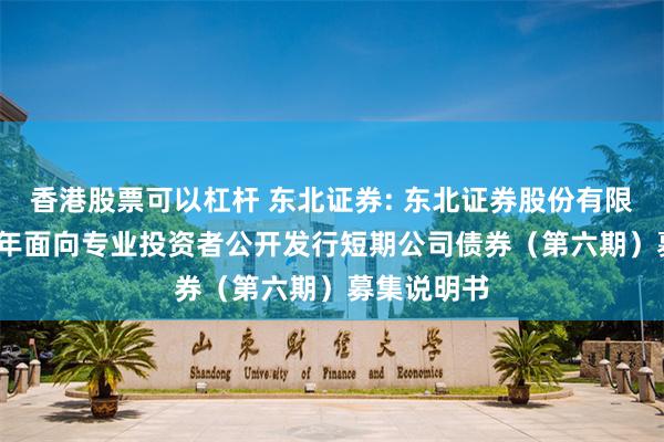 香港股票可以杠杆 东北证券: 东北证券股份有限公司2025年面向专业投资者公开发行短期公司债券(第六期)募集说明书